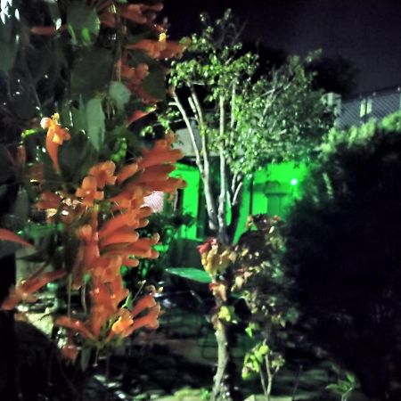 Last Chance Cafe And Guest House Rishīkesh Buitenkant foto